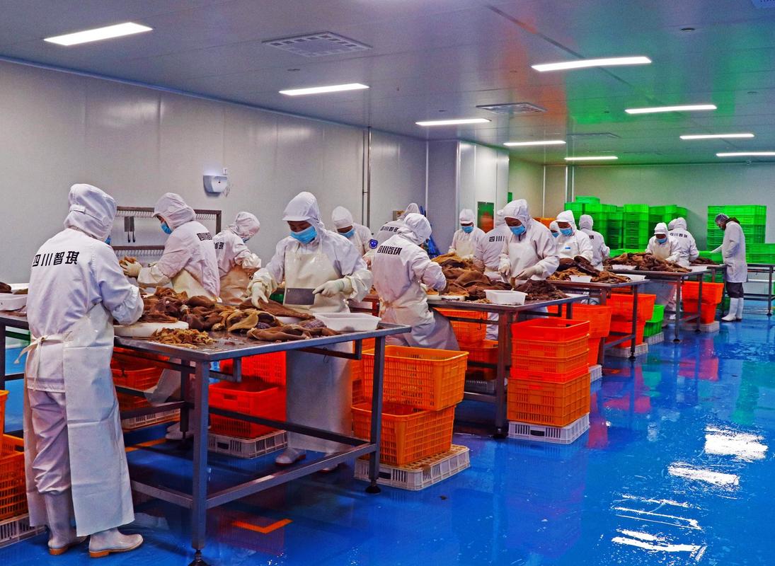 市州观察丨广元预制菜能出哪些"特色菜"?