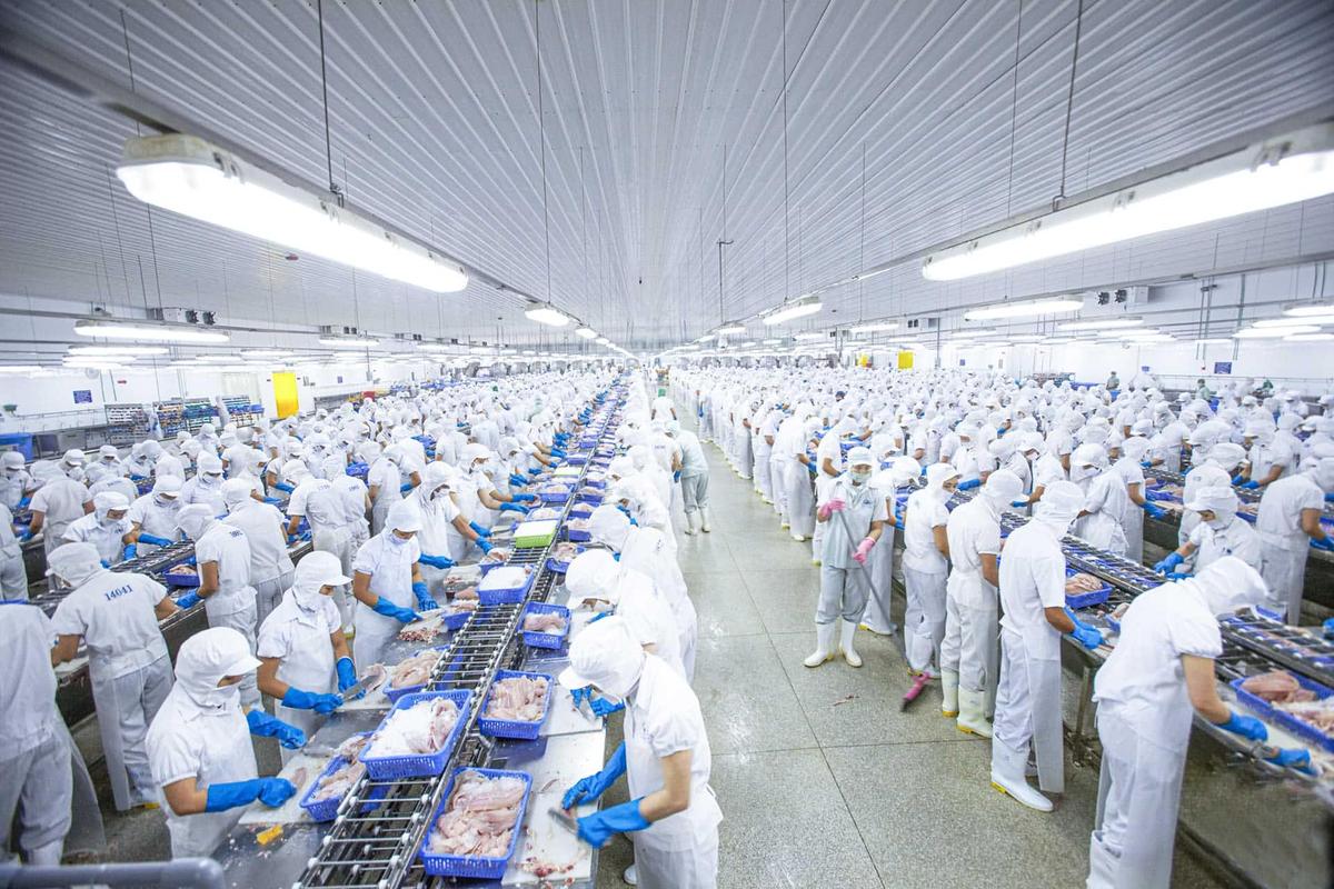 标准化生鲜餐饮食材供应链